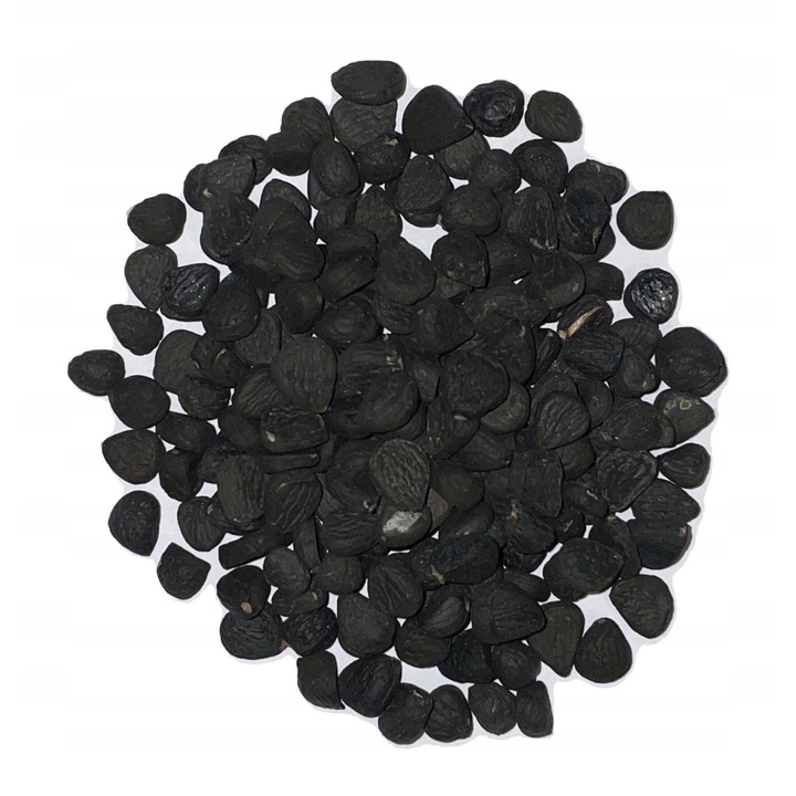 Seminte De Yucca Carnerosana, Rezistente La Frig, Germinare Rapida, Ambalaj 50 Seminte