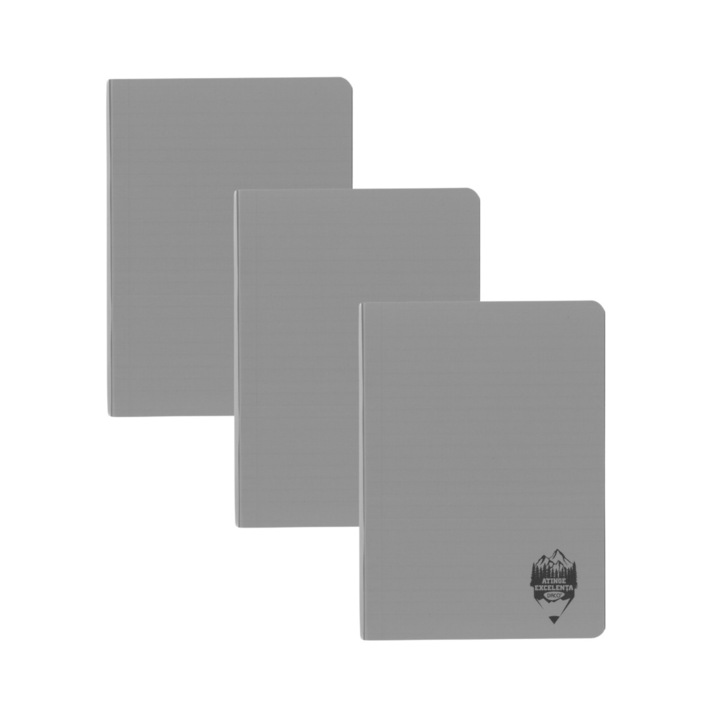 Комплект 3 х Тетрадка Daco A5, 48 листа, 70 гр/кв.м, широки редове, пластмасова корица, Сив