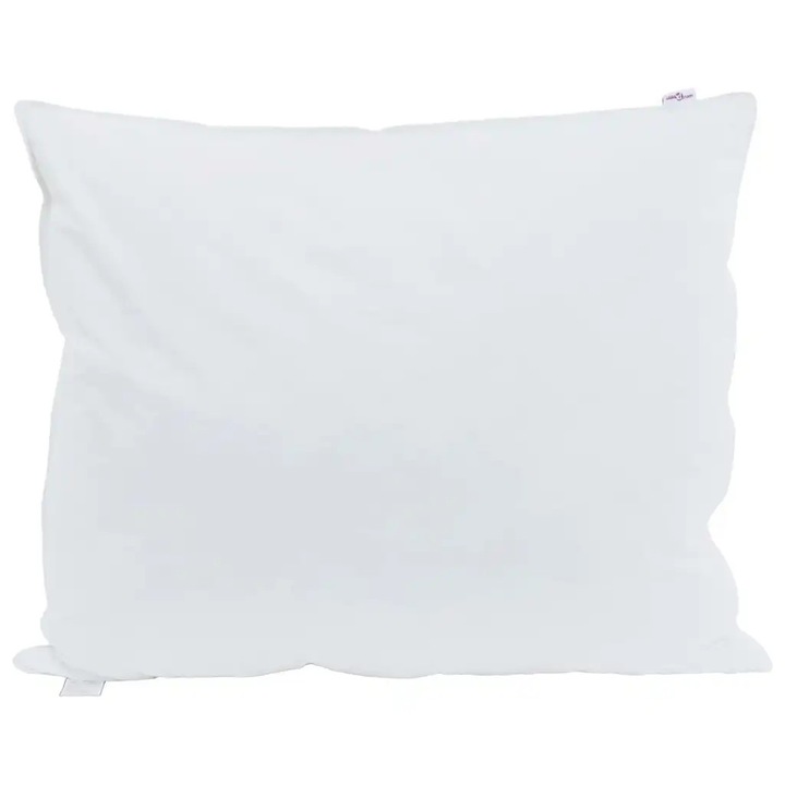 vidaXL 2 db párna, fehér, 60x70cm, toll töltettel, klasszikus, puha