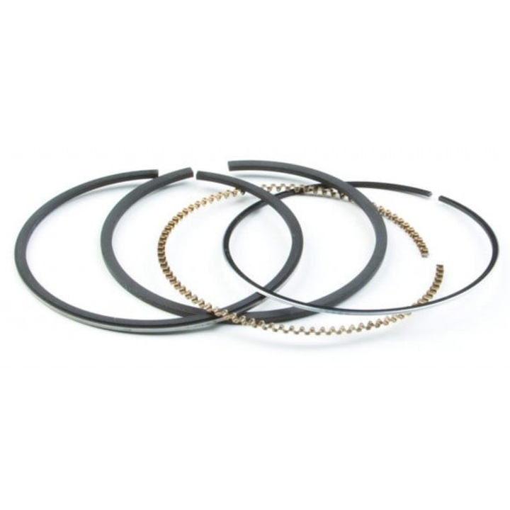 Сегменти за генератор BRIGGS&STRATTON Quantum 68.3 мм (791098)