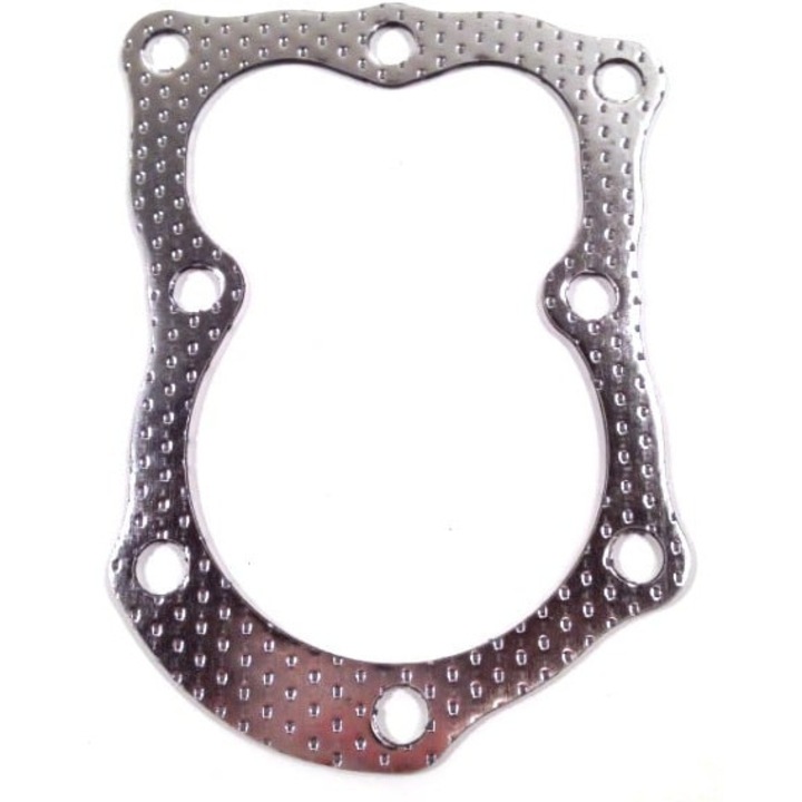 Garnitura chiuloasa compatibila Briggs & Stratton 5 CP