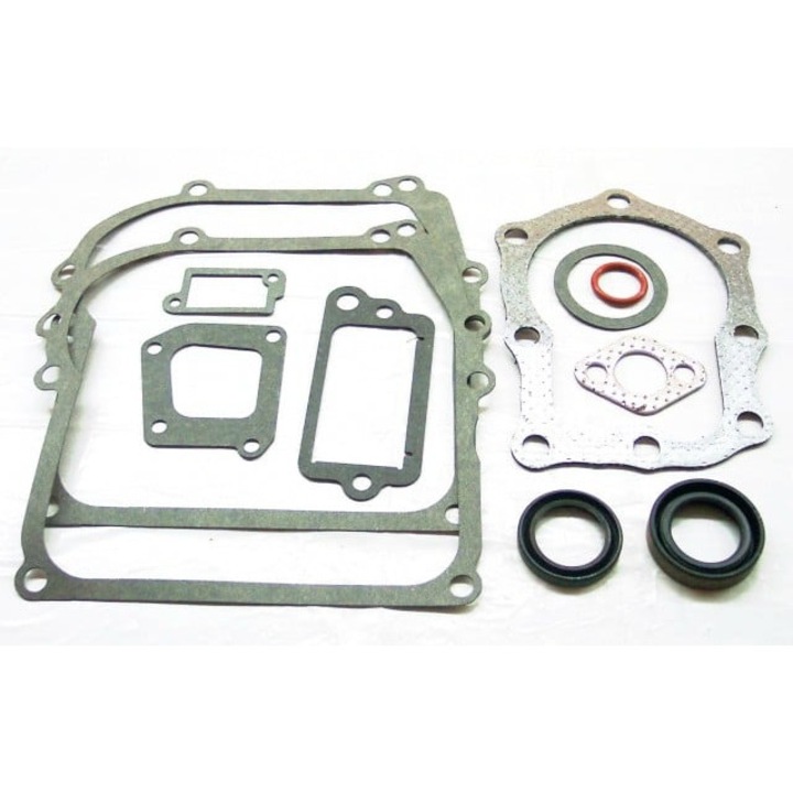 Комплект гарнитури за двигател Briggs and Stratton (Серия 110900, 111900) 4 к.с.