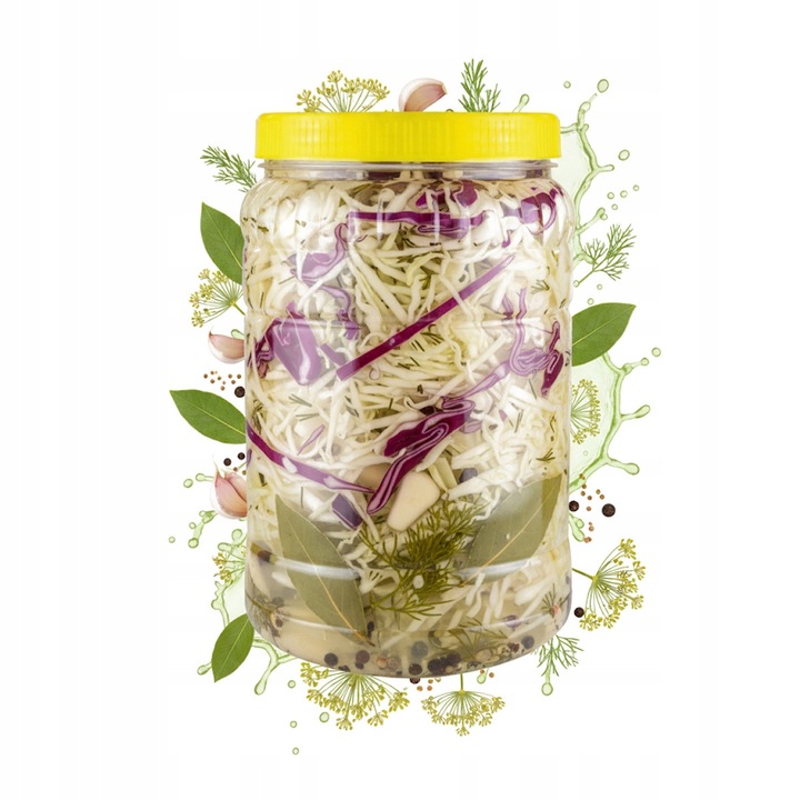 Borcan, plastic, Bimberek, 3L, transparent, 26x13x11 cm