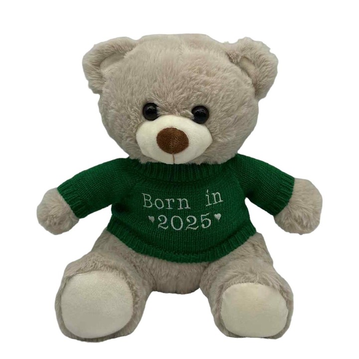 Urs de plus TUDIMAR 30cm cu plouver verde personalizat prin brodare, Born in 2025