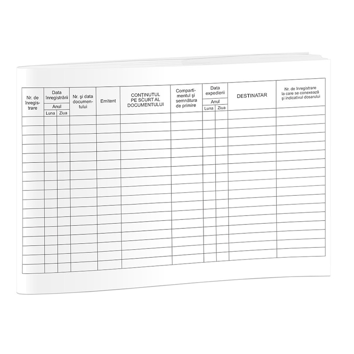 Registru intrare-iesire A4, 100 file, tipar fata-verso, set 3 bucati