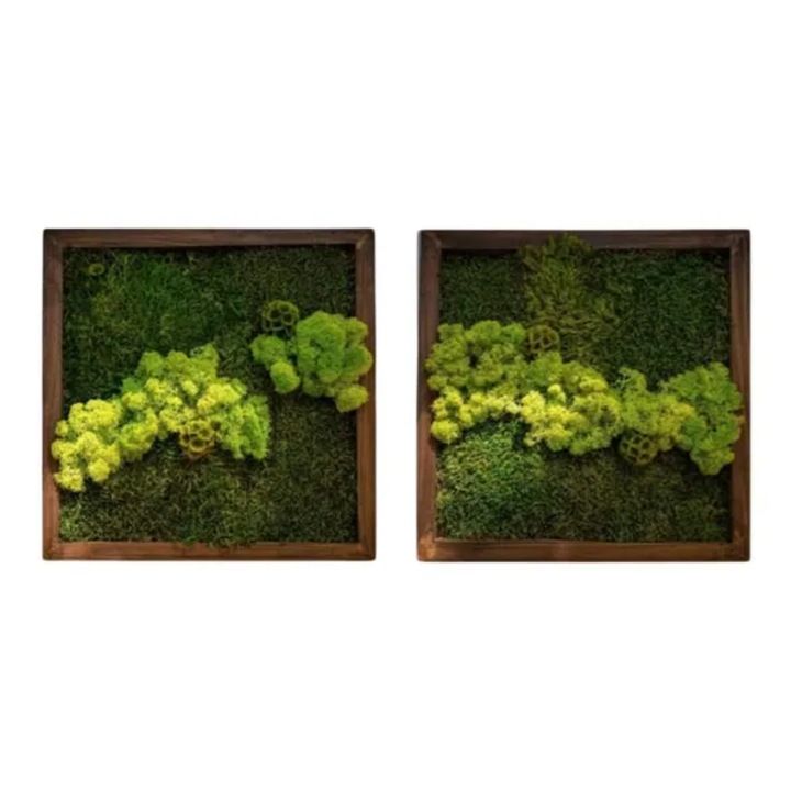 Set 2 tablouri cu licheni naturali 30x30 cm, decor eco handmade pentru casa si birou