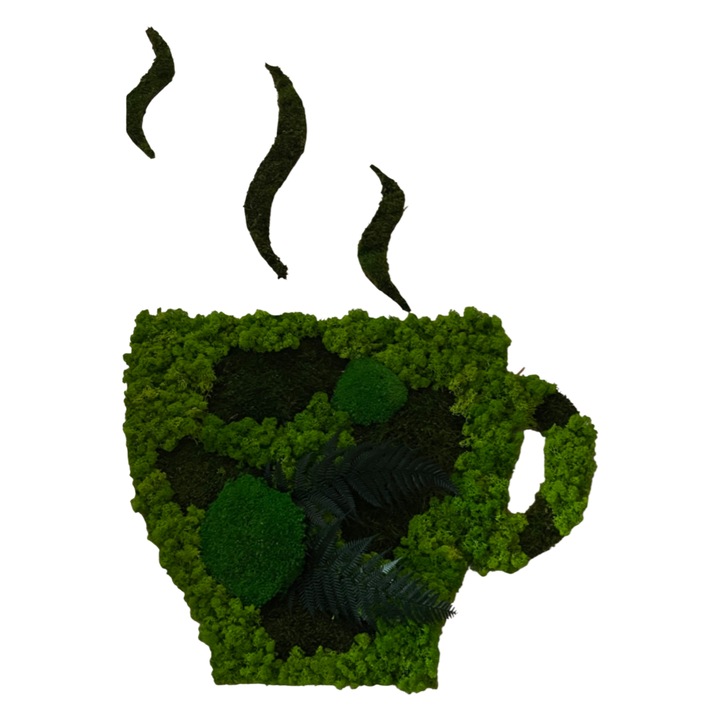 Cescuta decorativa din licheni stabilizati 50x40 cm, decor natural handmade pentru perete interior