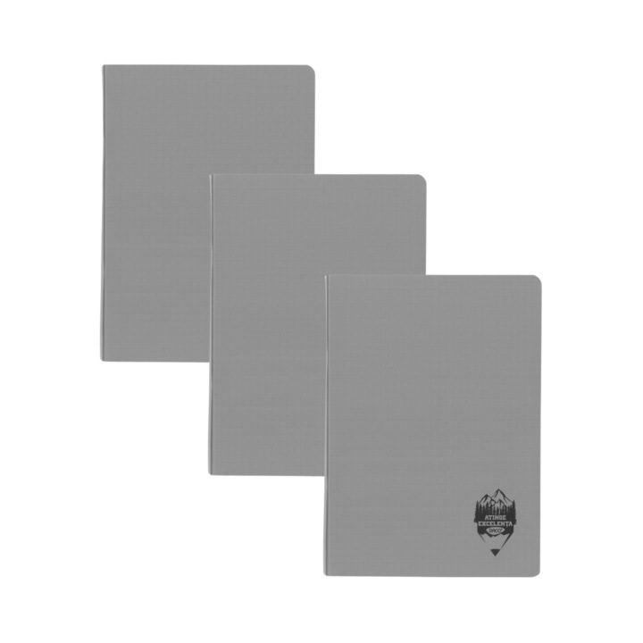 Комплект 3 х Тетрадка Daco А5, 48 листа, 70г/м2, математика, пластмасова корица, Сив