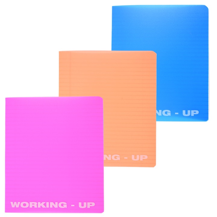 Caiet A5 48 File Dictando Coperta Pp Working Up Pigna