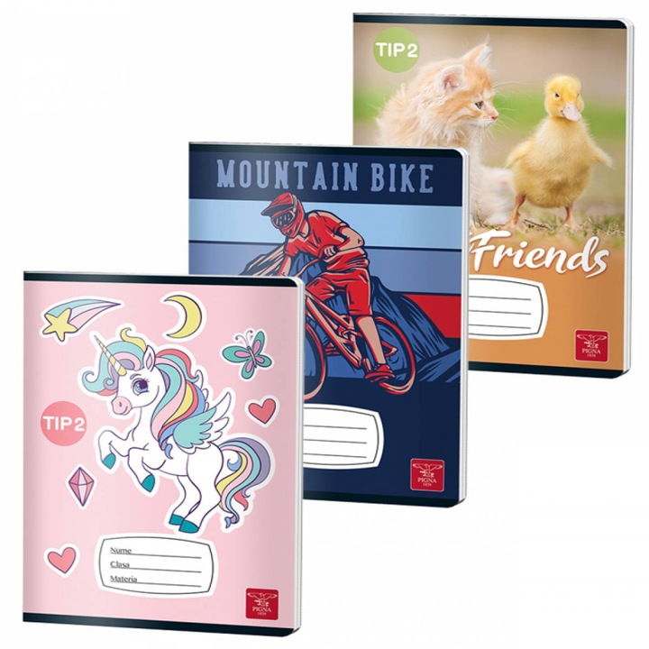 Caiet Tip Ii 24 File Color Pigna