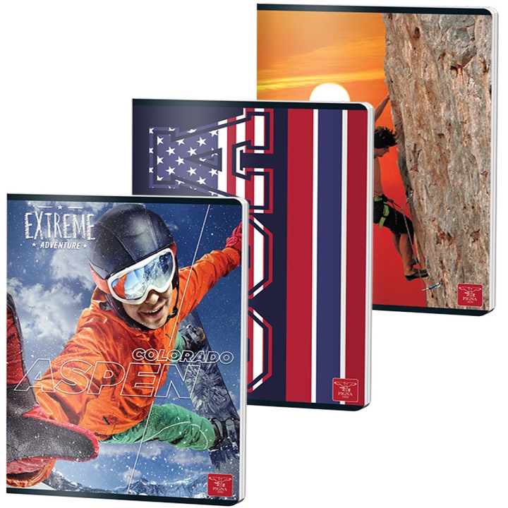 Caiet A4 48 File Aritmetica Color Pigna