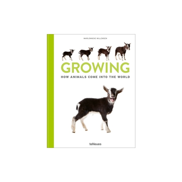 Growing How Animals Come Into Our World, Marlownneke Willemsen (Photographer)