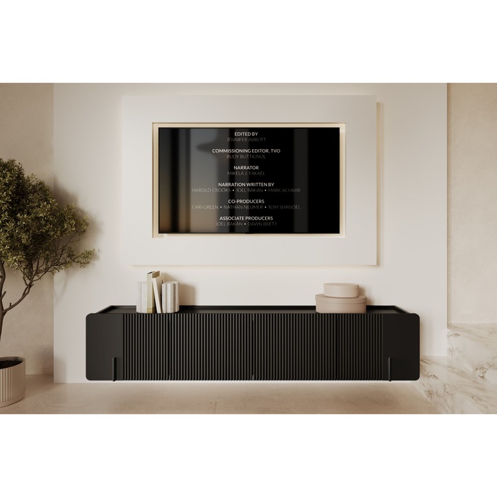 Comoda RTV Bogart 200x42x40cm, negru mat, 2 usi, 2 sertare