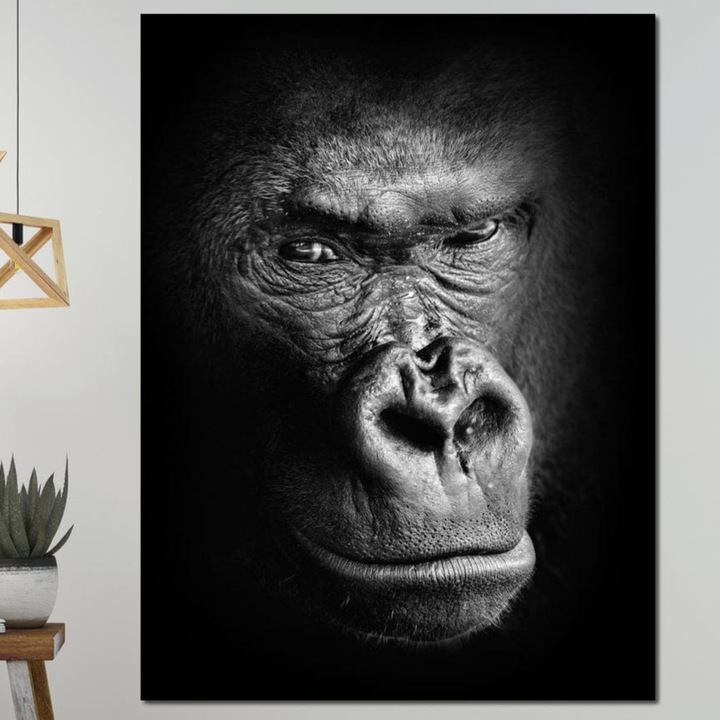 Tablou Canvas Premium, LuxCanva® M1325, Judecata din Umbre, 45 X 60 CM, Panza Bumbac 100% 400g/m2, Sasiu Lemn, Gorila, Portret, Alb si Negru, Primata, Privire, Salbaticie, Animale, Intunecat, Realist, Birou, Living, Camera Copil