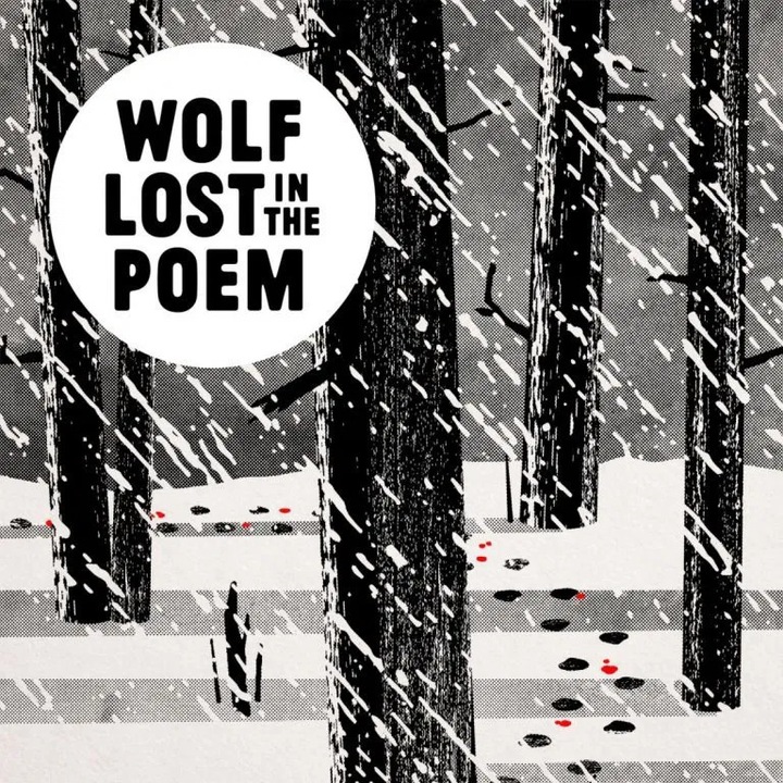 Wolf Lost In The Poem: Nepripoutany - CD, digipack