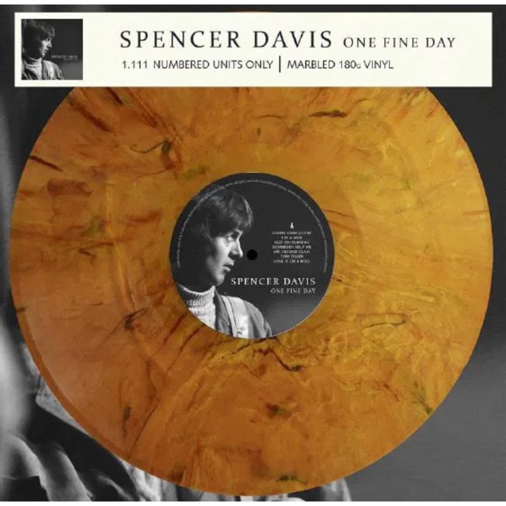 Дейвис Спенсър: Един прекрасен ден - Винил (LP), Рок, 1 диск
