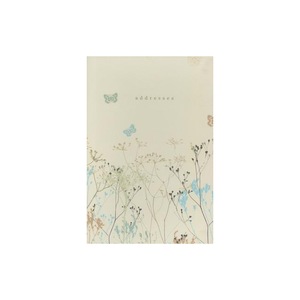 Fictiune