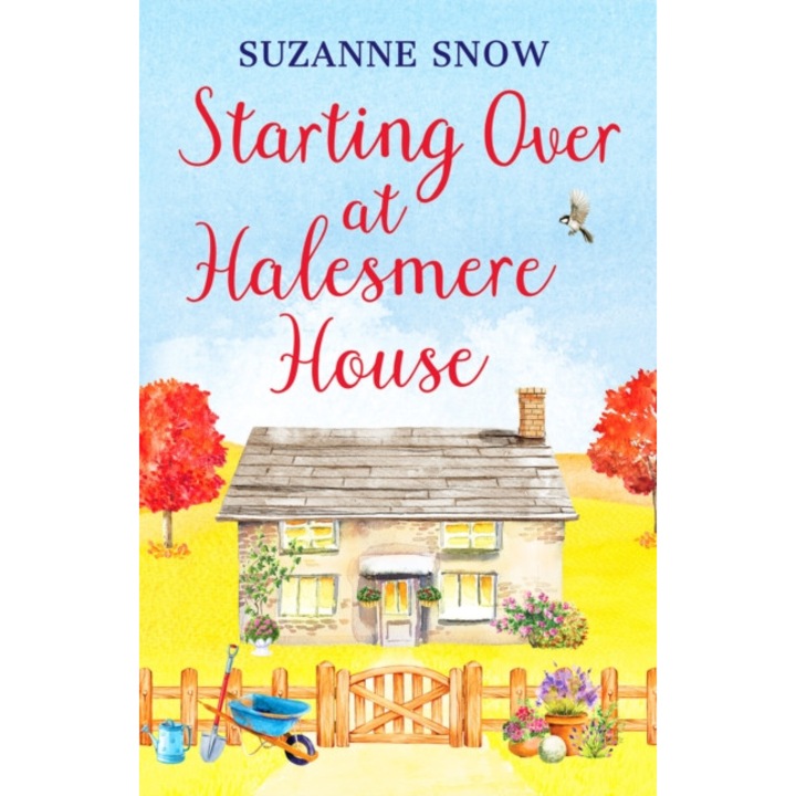 Starting Over At Halesmere House - Suzanne Snow