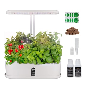 Ghivece si suporturi