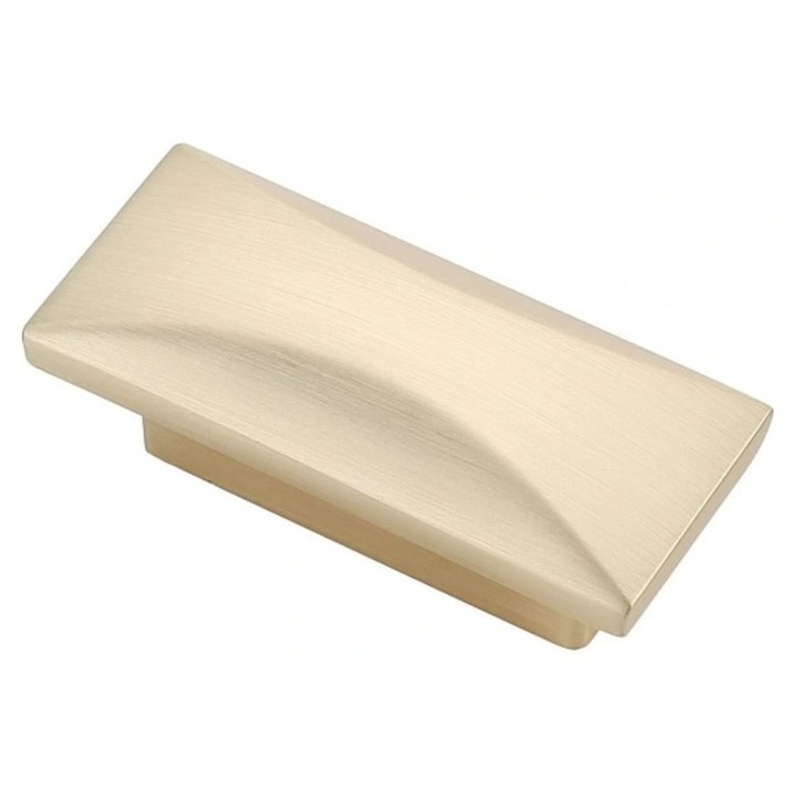 Buton NAMUR 51x20 mm, auriu