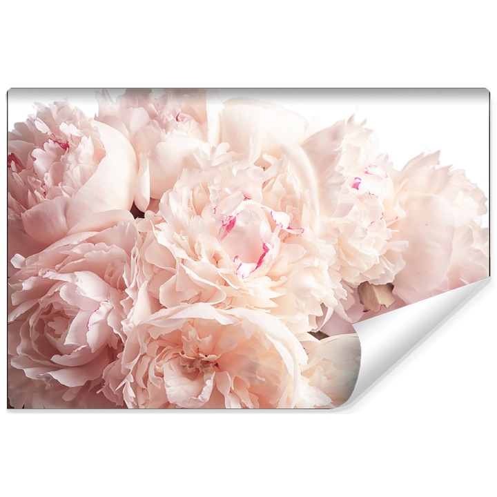 Fototapet Flori de Bujor Frumoase 90cm x 60cm Decorativ, Design modern, Decor 3D, Autoadeziv, Semilavabil, Bucatarie