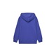 Bluza baieti Napapijri, NP0A4HY4B3B1, Bumbac/Poliester, 14 ani, Albastru