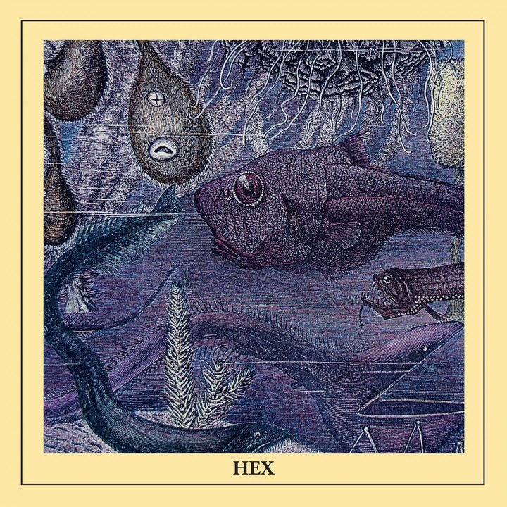 CD HEX, HEX, 1994, cseh zene