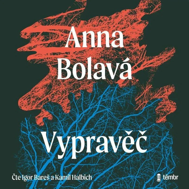 Vypravec, Bolava Anna, 2CD (MP3), Audioknigi