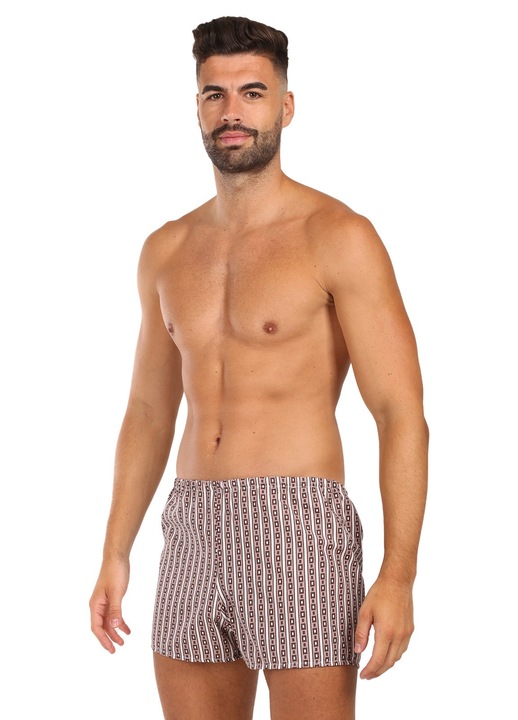 Pantaloni scurti barbati Nedeto 1NTV2, maro, textil