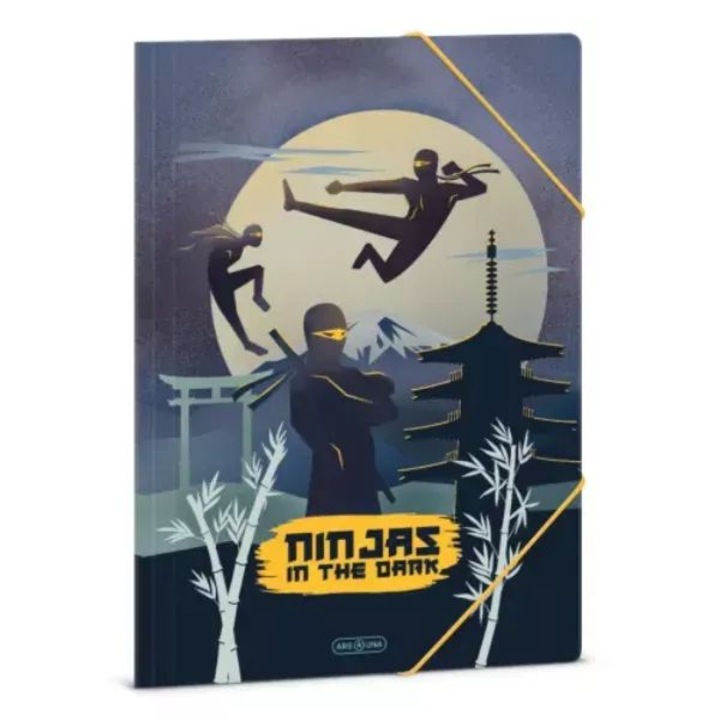 Ninjas in the Dark: Gumis mappa - A4