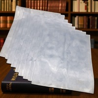 Set 10 buc Coperta pentru Carte Speciala tip 1, 424x265mm (212x265mm), VisionXXI