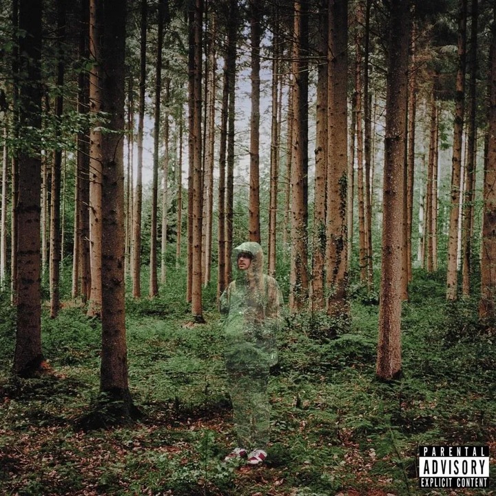 Grandson - I Love You, I'm Trying, CD