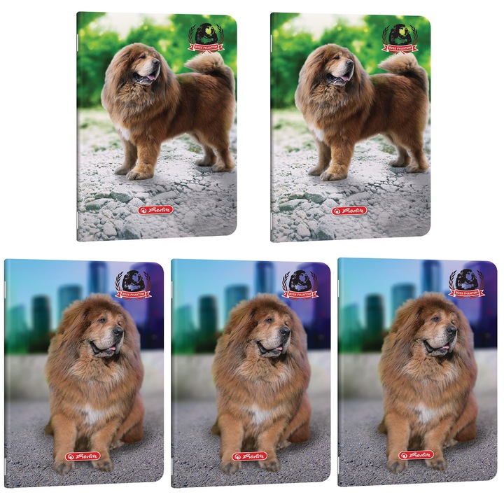 Set 5 caiete Herlitz A5, hartie 70 g/mp, 48 file, matematica