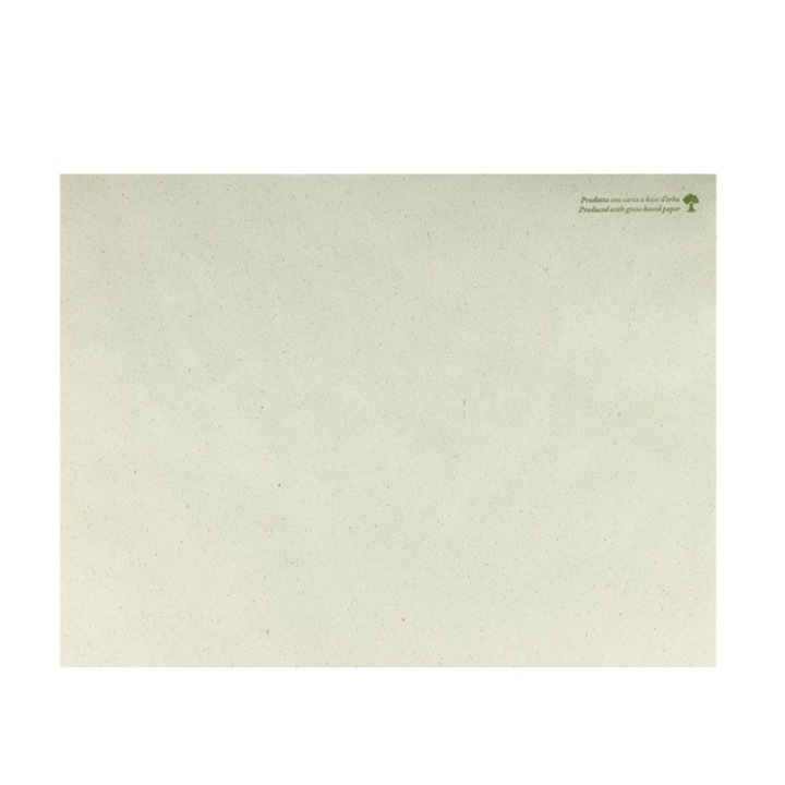 Suport farfurii masa din hartie RAKI 30x40cm decor Erba set 250buc