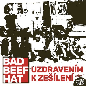 Vinyl-uri si cd-uri muzica