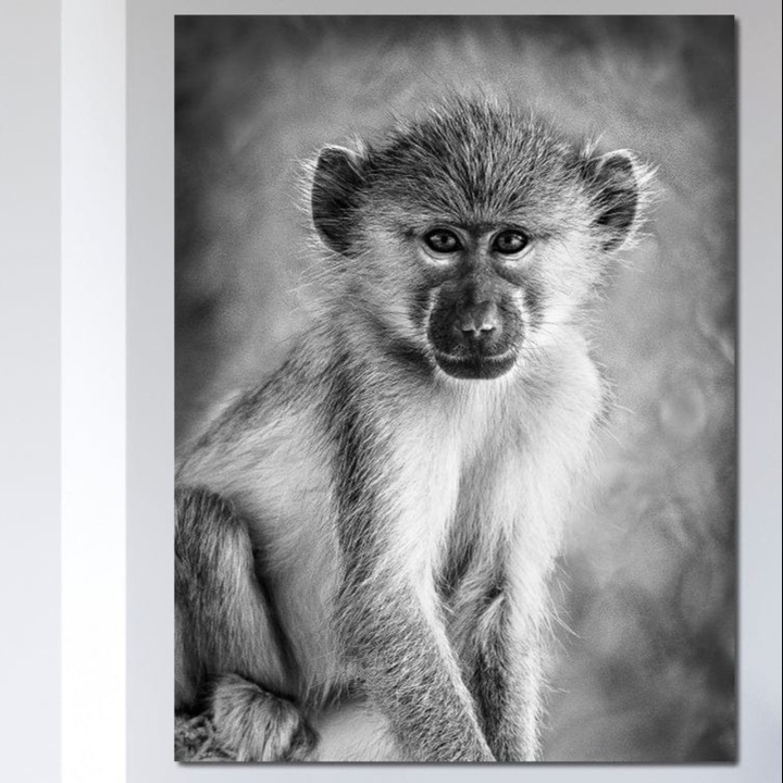 Tablou Canvas Premium, LuxCanva® M1329, Micul Gardian al Savanei, 90 X 120 CM, Panza Bumbac 100% 400g/m2, Sasiu Lemn, Maimuta, Alb si Negru, Jungla, Chip, Primata, Inocenta, Realist, Animal, Fotografie, Birou, Living, Camera Copil