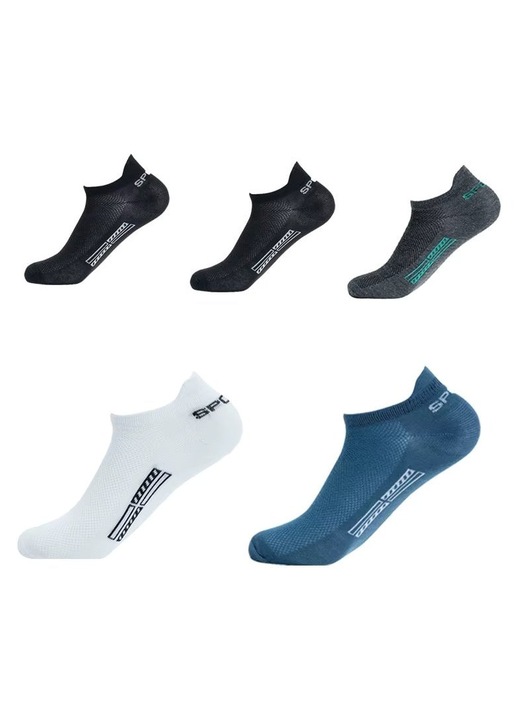 Комплект от 5 чифта мъжки чорапи, SS013, Многоцветни, универсален размер (39-42)