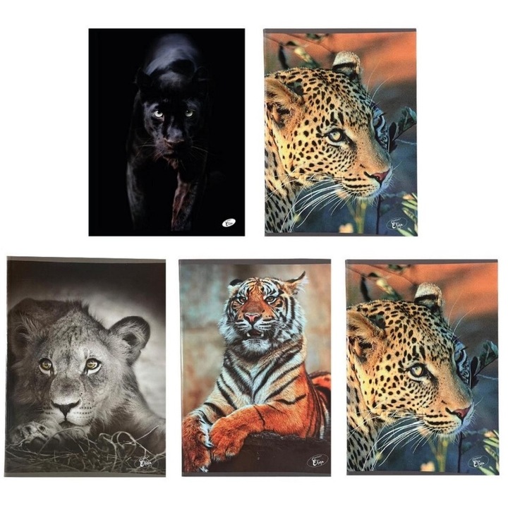 Set 5 caiete Elisa Premium A5, 48 file, hartie 80 g/mp, coperta 300 g/mp