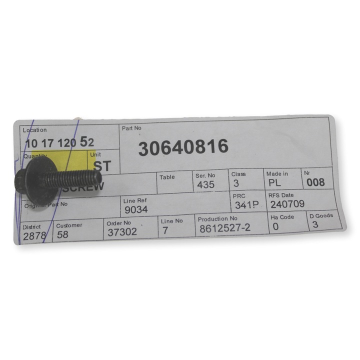 Védőcsavar M5x20, VOLVO, eredeti, új, kód: 30640816