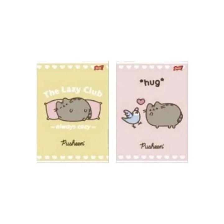 A4 füzet, 32 oldal, két színű vonalazás, laminált borító