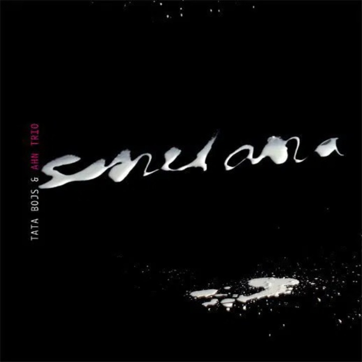 CD Сметана, Тата Бойс & Трио Ан, чешка музика, 1 диск, пластмаса