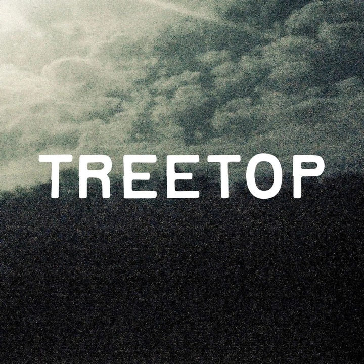 Музикален албум Treetop, Treetop, CD, 1 диск, чешка музика