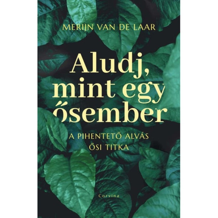 Merijn van de Laar: Aludj, mint egy ősember - A pihentető alvás ősi titka