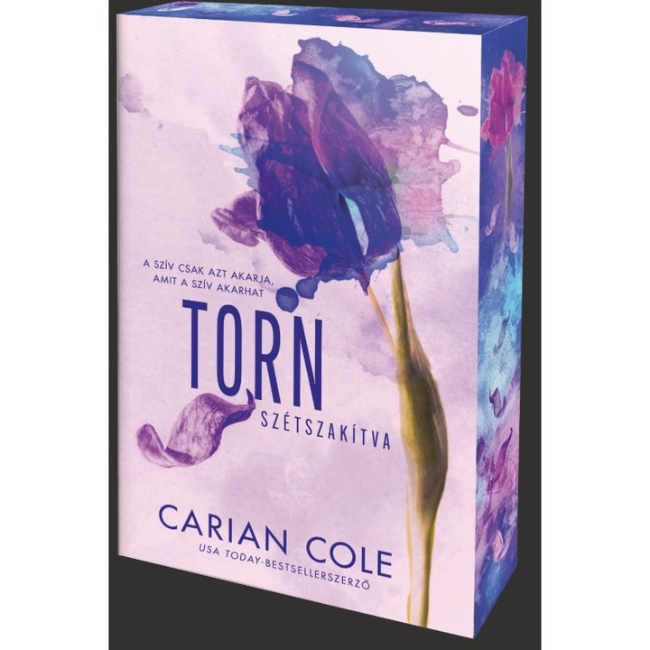 Carian Cole: Torn – Szétszakítva - Éldekorált kiadás