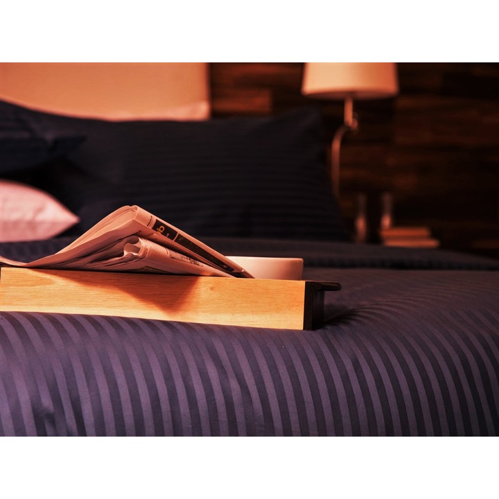 Чаршаф за спане Kotonia Home Deco, 100% памук, дамаски сатен, размер на райета 1 см, лилав, 150x240 см