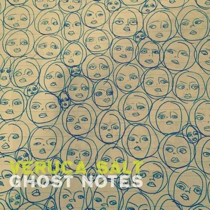 CD Veruca Salt - Ghost Notes, Pop, Digipack