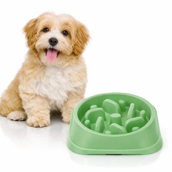 Alimentator Lent pentru Animale Macvi®, Bol Antiderapant Hranire Lenta pentru Caini si Pisici Design Interior AntiInghitire Material Sigur Usor de Curatat Rezistent, Verde