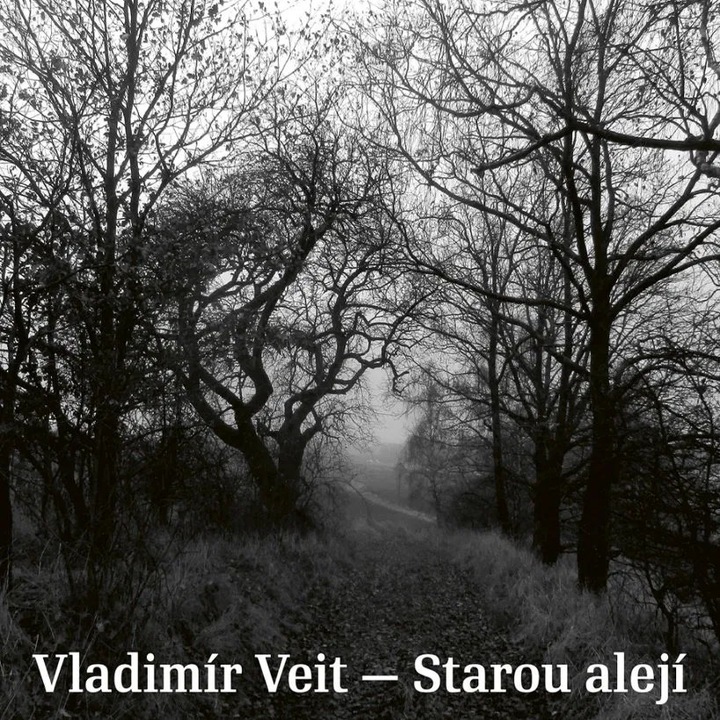 CD Veit Vladimir, Starou aleji, чешка музика, 1 диск