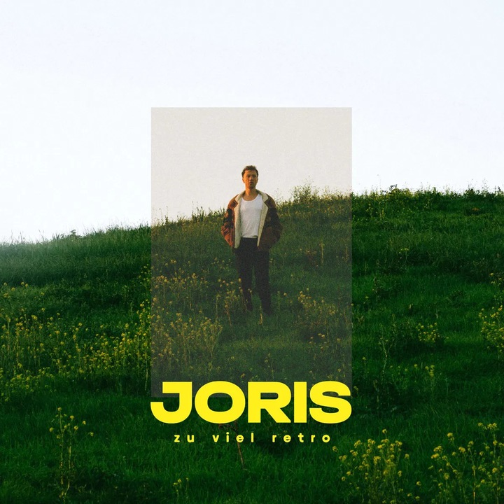 Joris: Zu Viel Retro - Vinyl (LP), Pop, 1 disc, calitate superioara, multicolor