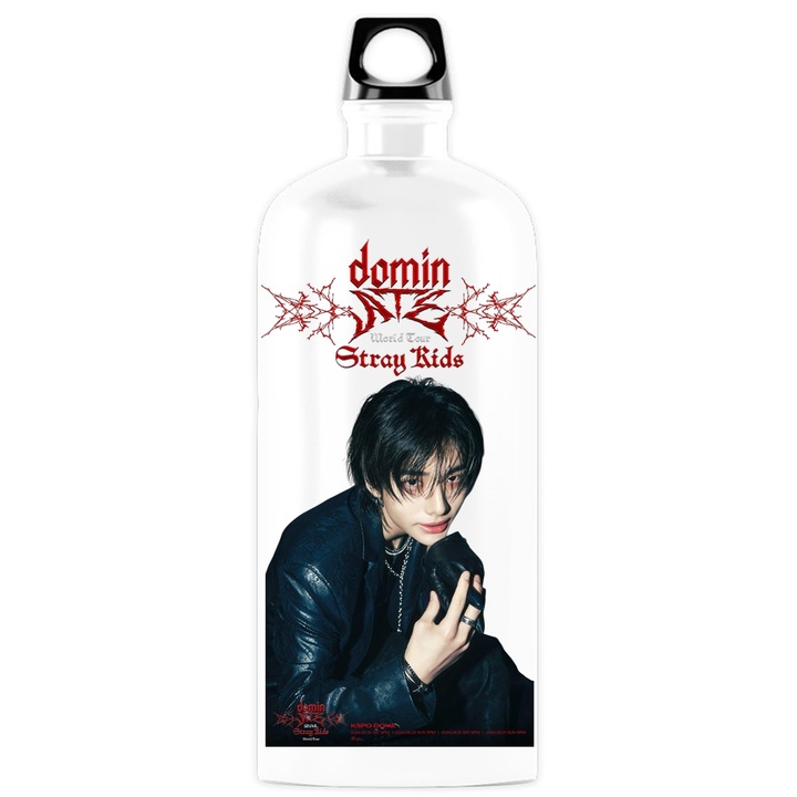 Recipient personalizat stray kids kpop domin hyunjin, metal-inox, 500 ml